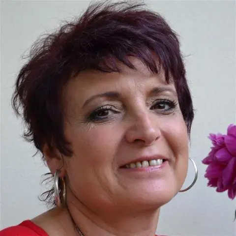 ghiacciolina image 1